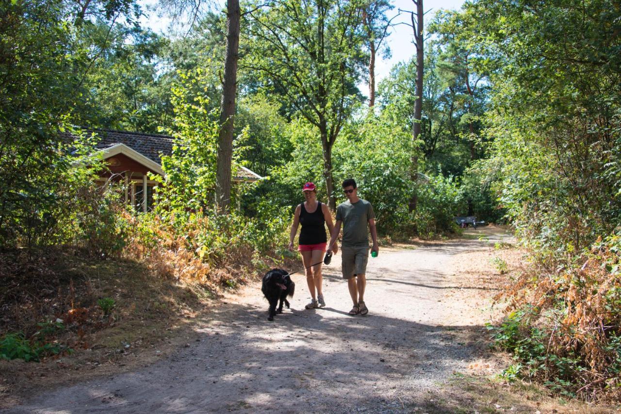 Europarcs De Wiltzangh Hotell Ruinen Exteriör bild